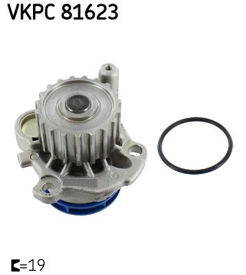 WATER PUMP KIT|24-05