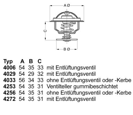 BORGWARNER (WAHLER) alkatrész|2024.12.20