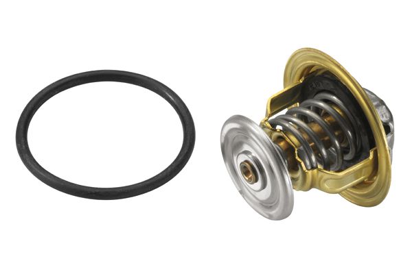 THERMOSTAT FUER AUDI|1 munkanapos beszerzés 2025.1