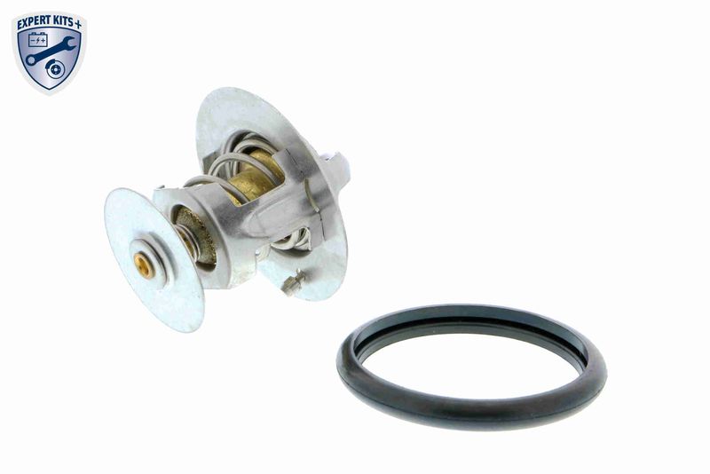 THERMOSTAT FUER FORD|1 munkanapos beszerzés 2024.12