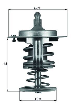 THERMOSTAT FUER TOYOTA|1 munkanapos beszerzés 2025.1