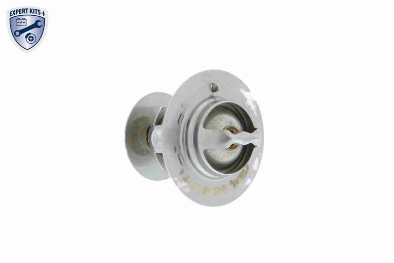 THERMOSTAT FUER FORD|1 munkanapos beszerzés 2024.12