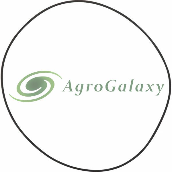 O-gyűrű|3-4 m.napos szállítás gyári klt. estén 25-04